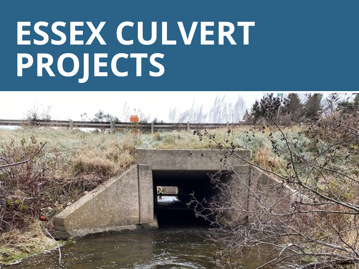 VTRANS Essex Bridge Projects