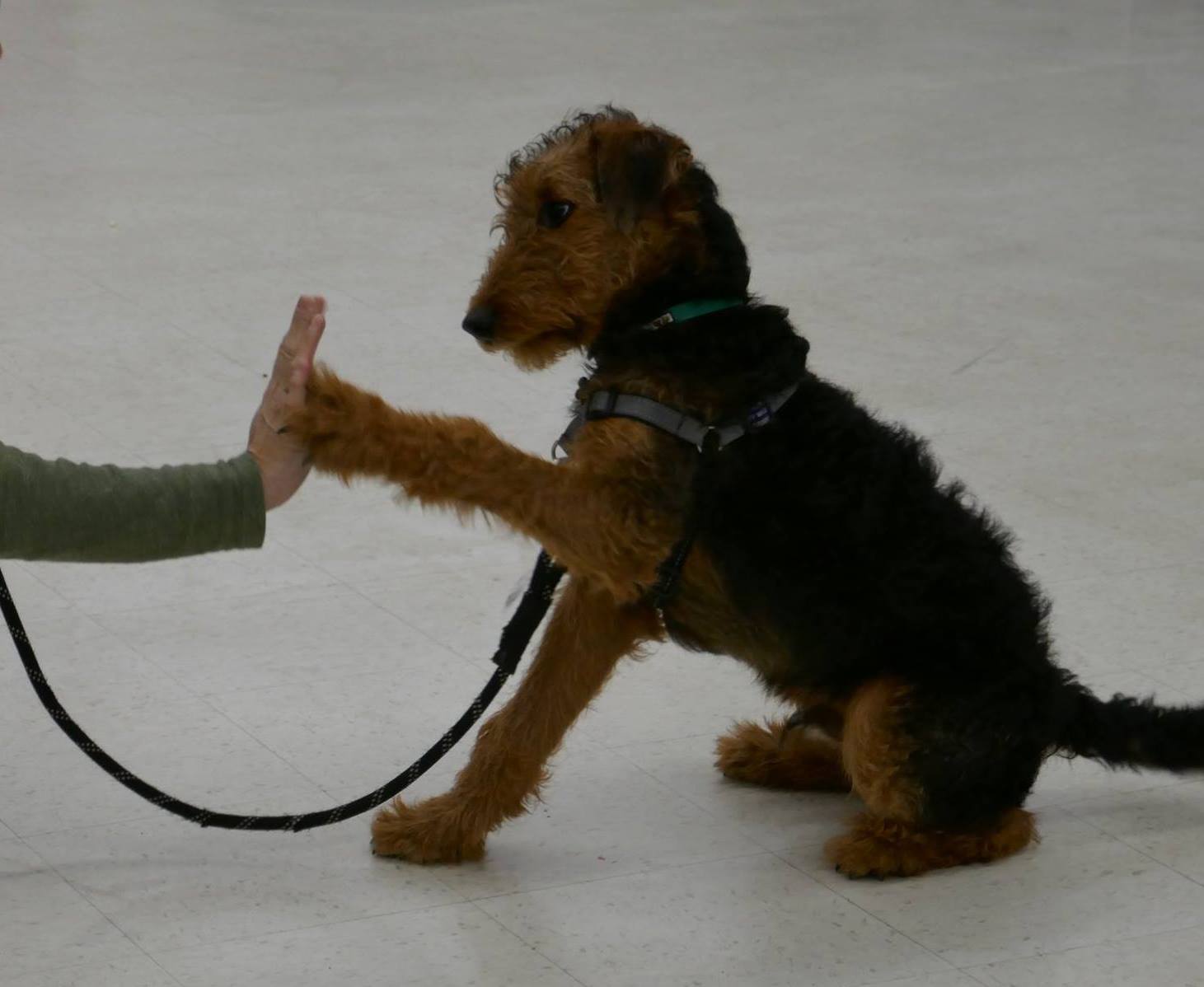 33816500_1947152495304164_829966335046844416_n