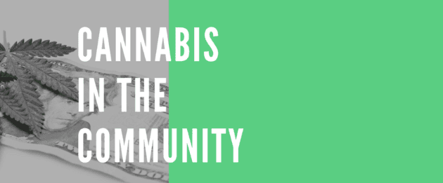 Cannabis in the Community page image