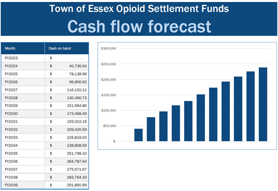 Cash flow forecast for website