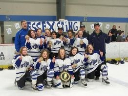 Essex Youth Hockey Opens in new window